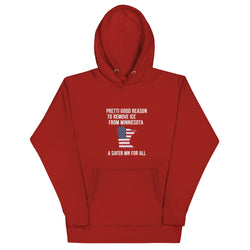 Remove Ice Unisex Hoodie